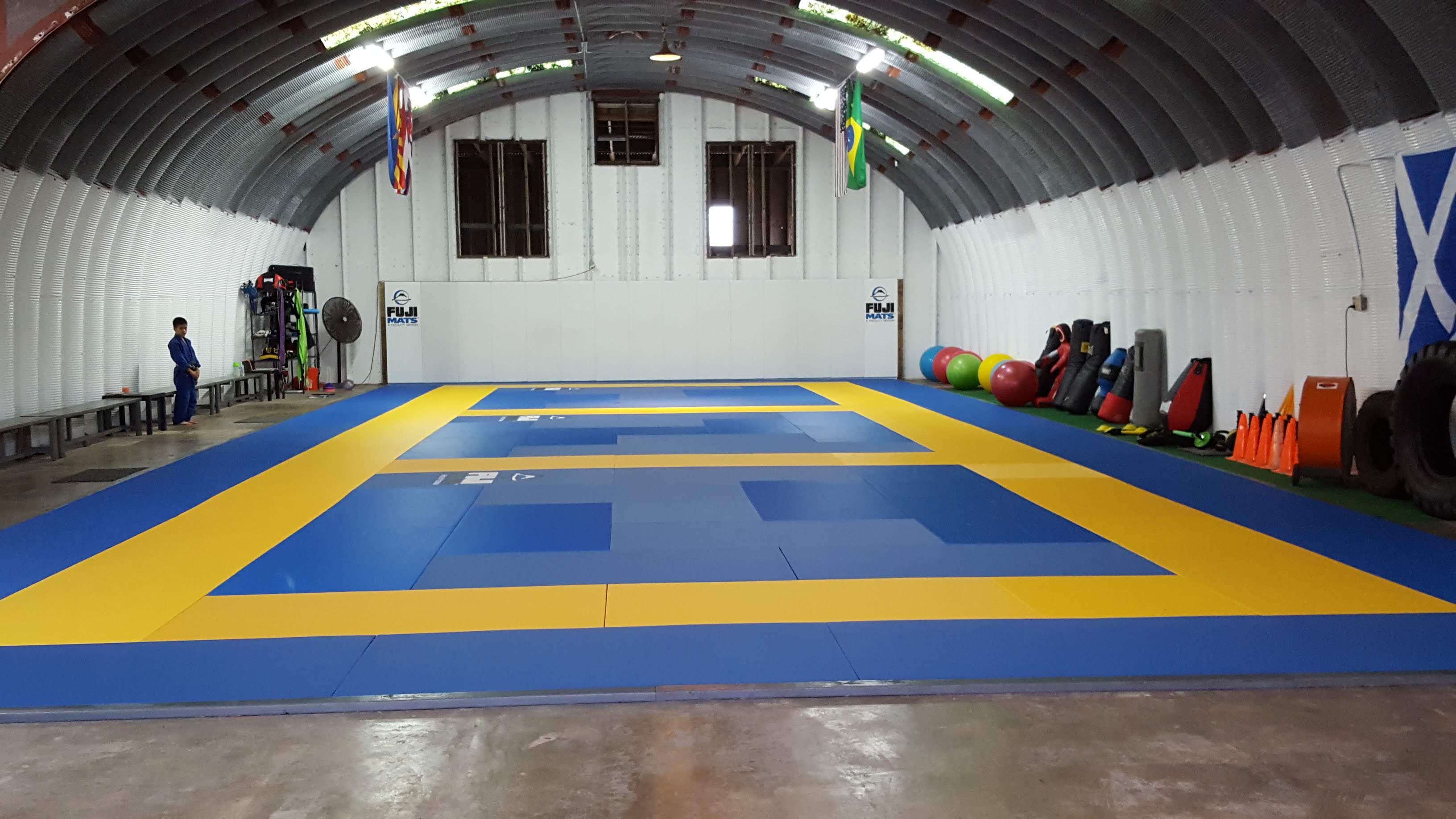 Blue & Yellow Tatami