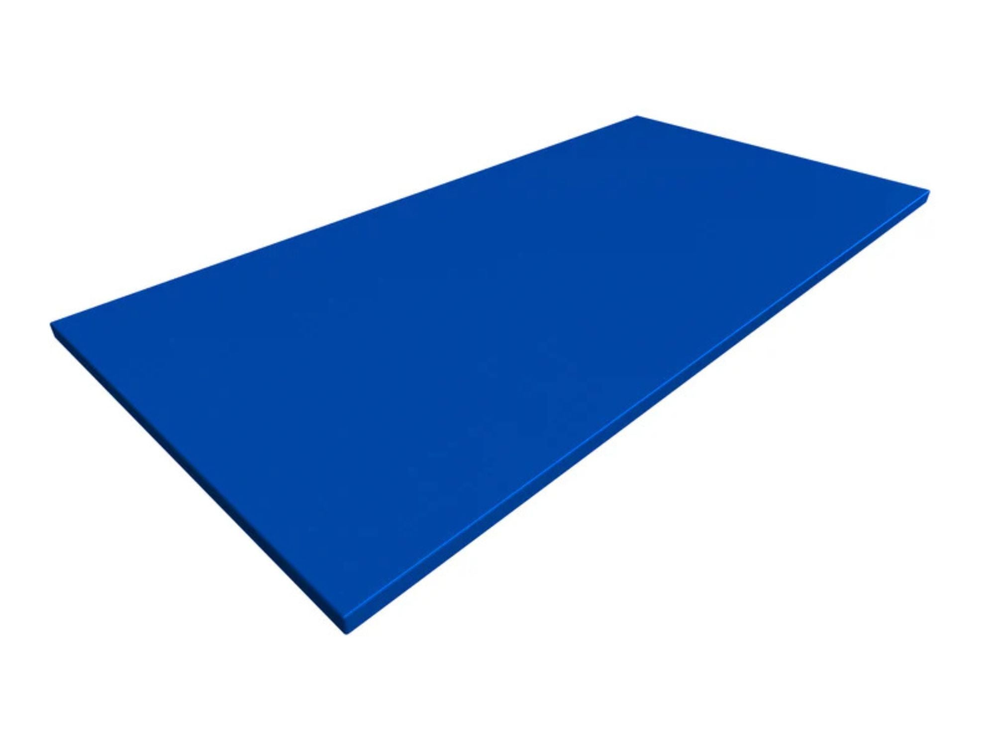 Tatami Striking Mat Blue