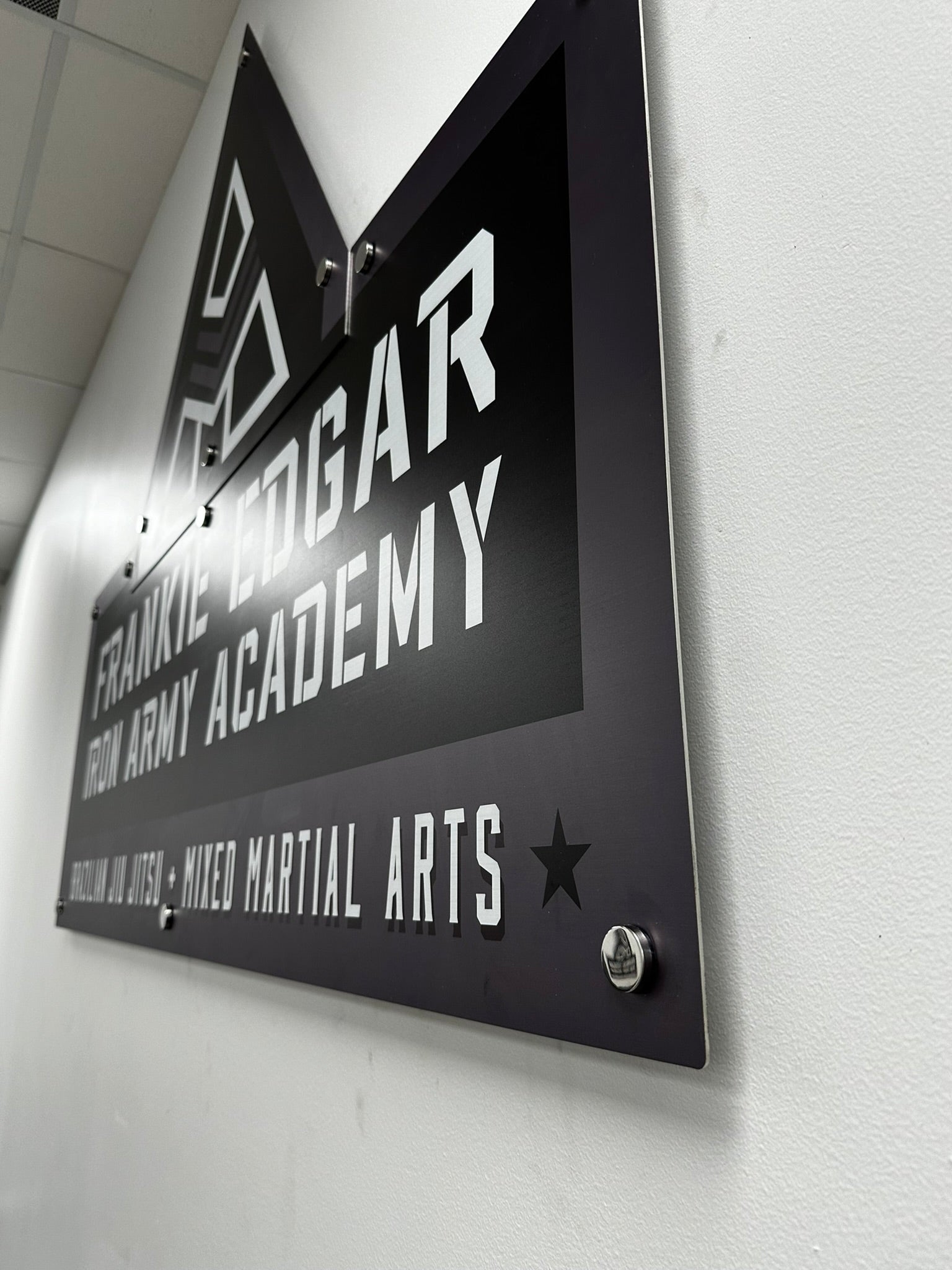 Stainless Steel Wall Art