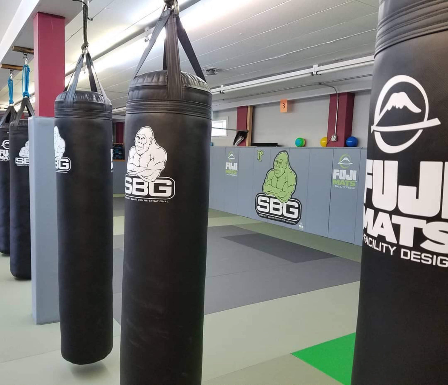 SBG