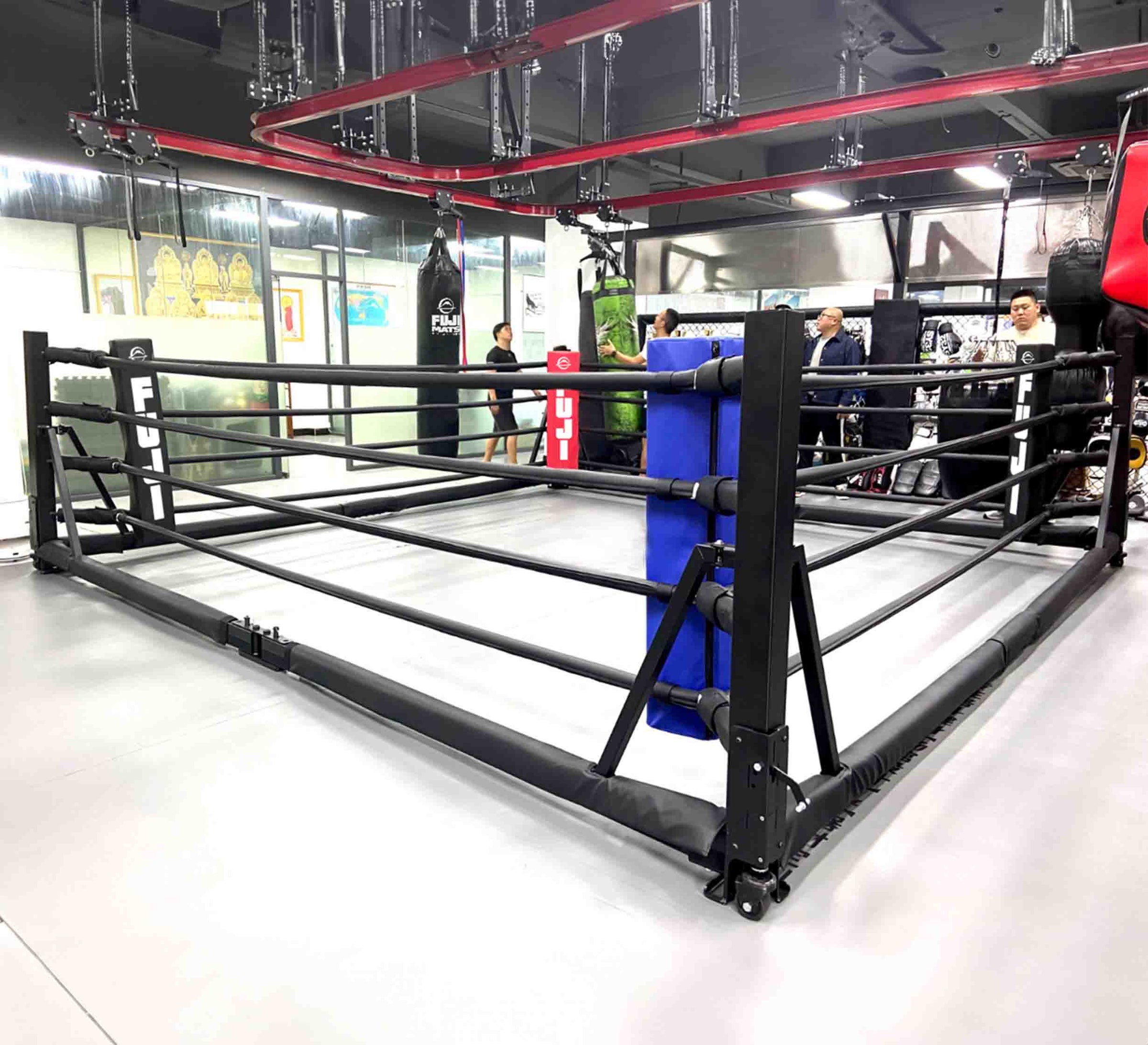 Folding Boxing Ring