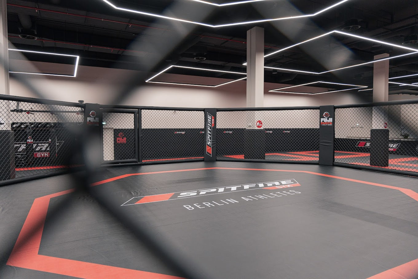 Elevated Event MMA Cage - octagon