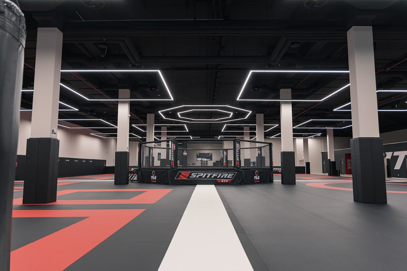 Elevated Event MMA Cage - octagon