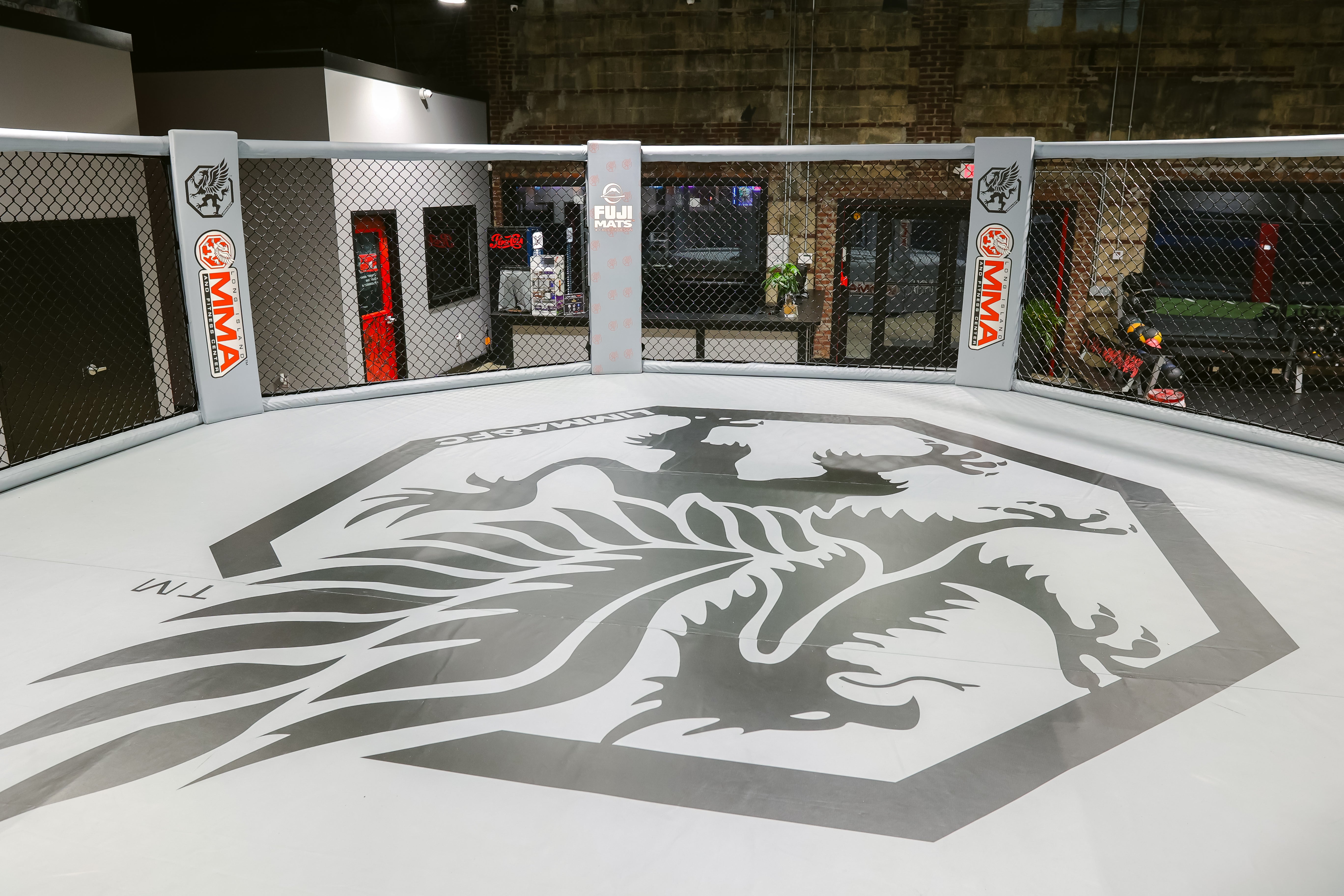 Elevated Event MMA Cage - octagon