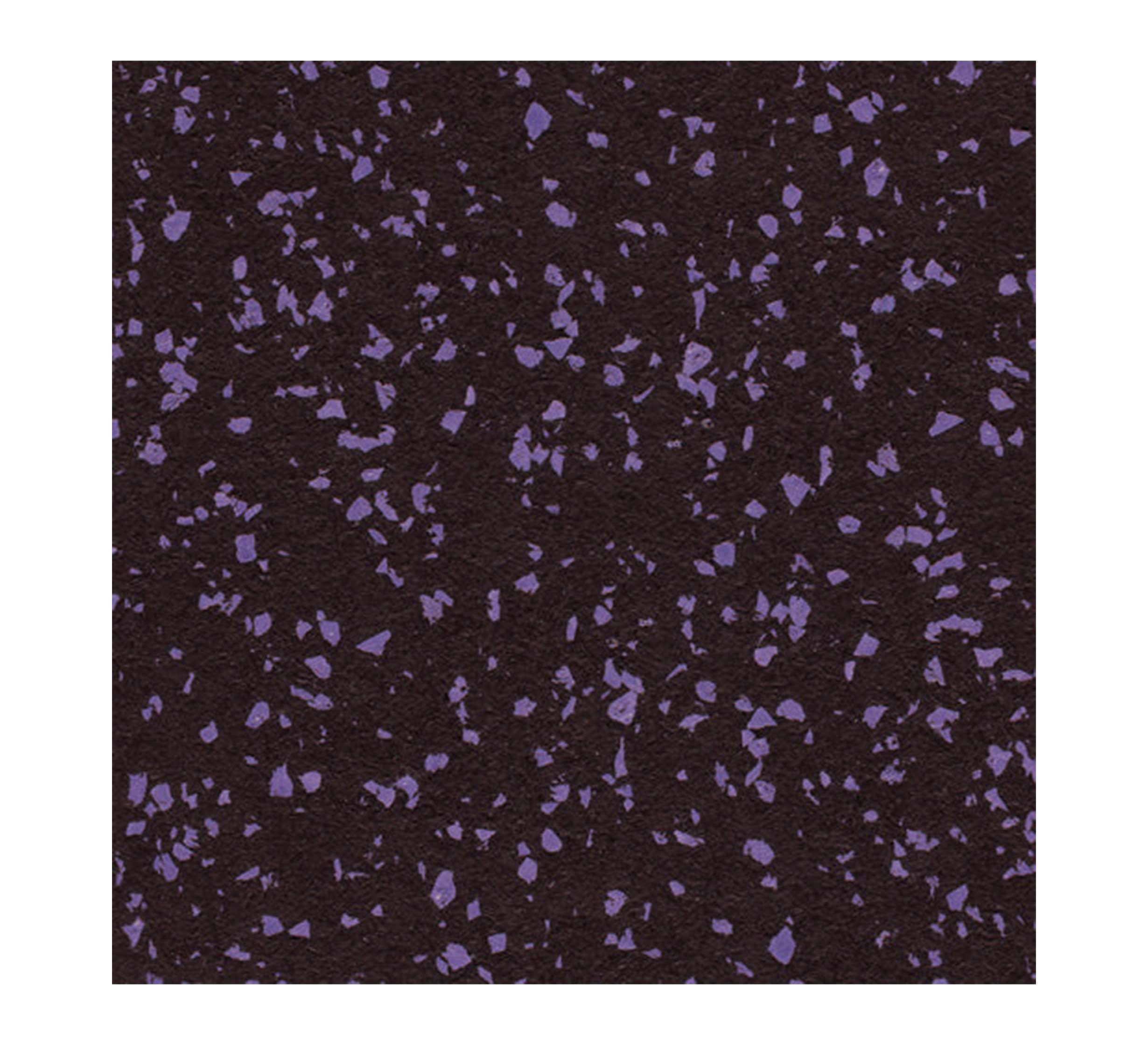 Nike Rubber Weight Tiles Purple